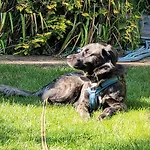 Prázdninový dům Finnhaus By Interhome Zuhlsdorf