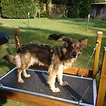 Prázdninový dům Finnhaus By Interhome Zuhlsdorf