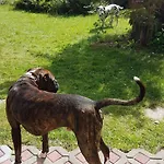 Finnhaus By Interhome * Zuhlsdorf