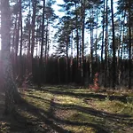 Finnhaus By Interhome Prázdninový dům