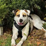 Finnhaus By Interhome Prázdninový dům *