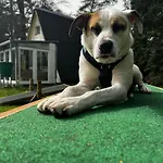 Finnhaus By Interhome Prázdninový dům