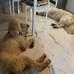 Finnhaus By Interhome Prázdninový dům *