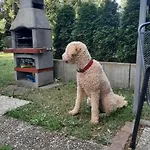 Finnhaus By Interhome Prázdninový dům *