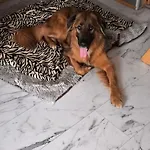 Finnhaus By Interhome Prázdninový dům