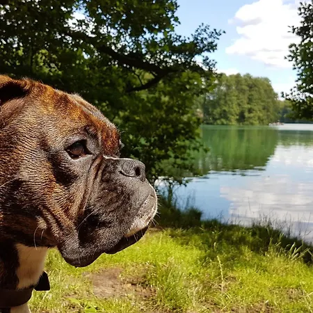 Finnhaus By Interhome Сasa de vacaciones *