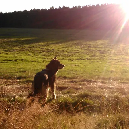 Finnhaus By Interhome