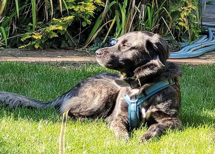 Сasa de vacaciones Finnhaus By Interhome Zuhlsdorf