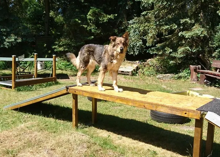 Holiday home Finnhaus By Interhome