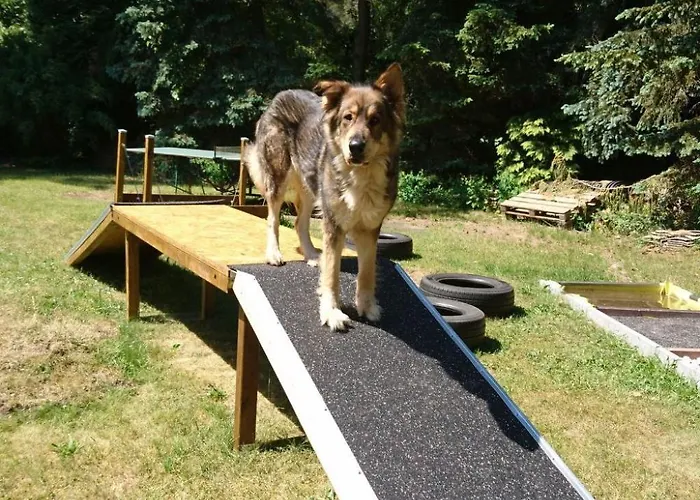 Holiday home Finnhaus By Interhome Zuhlsdorf