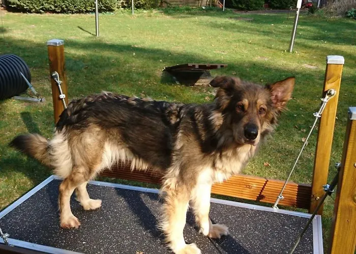 Сasa de vacaciones Finnhaus By Interhome Zuhlsdorf