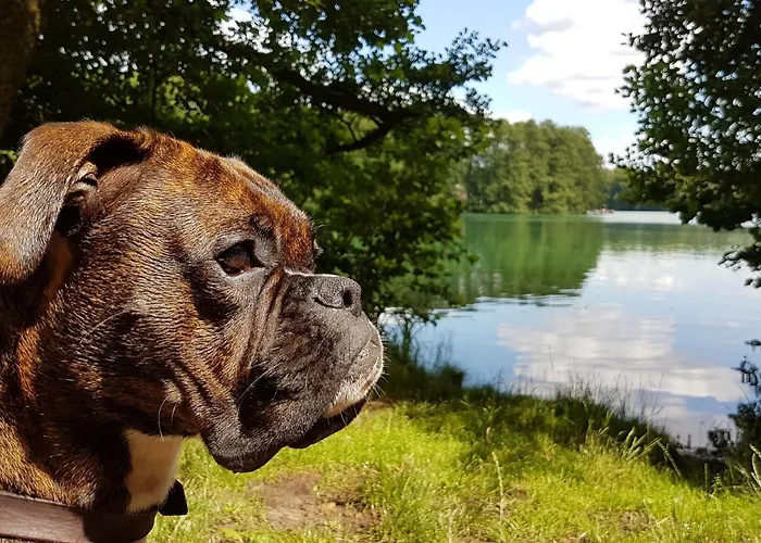 Finnhaus By Interhome Holiday home *