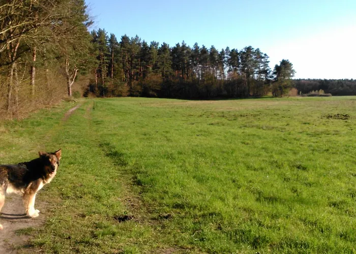 Finnhaus By Interhome Zuhlsdorf