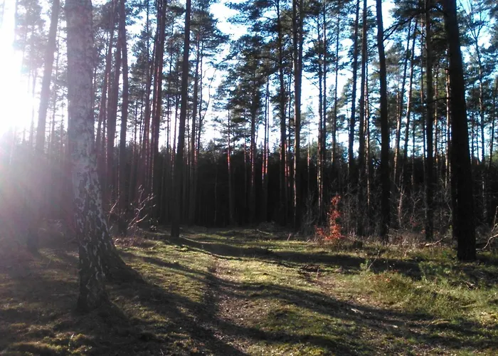 Finnhaus By Interhome Сasa de vacaciones