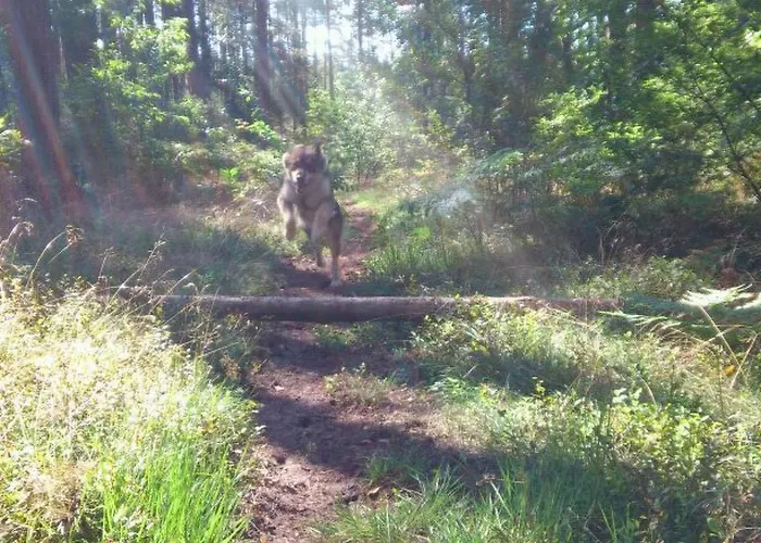 Finnhaus By Interhome *