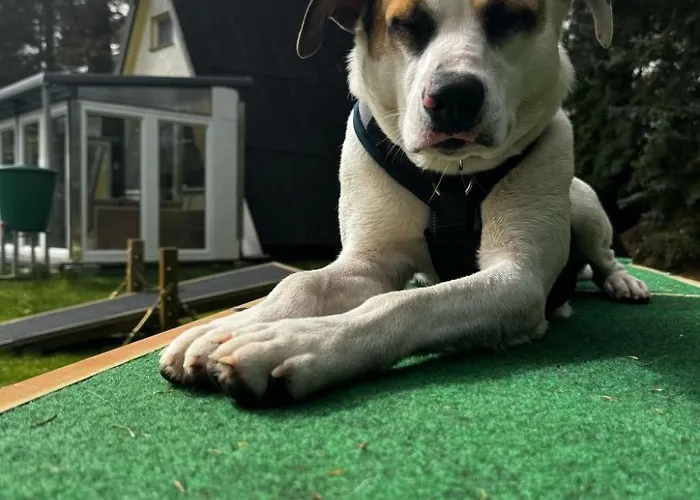 Finnhaus By Interhome Сasa de vacaciones