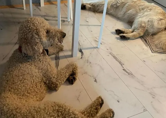 Finnhaus By Interhome Holiday home *