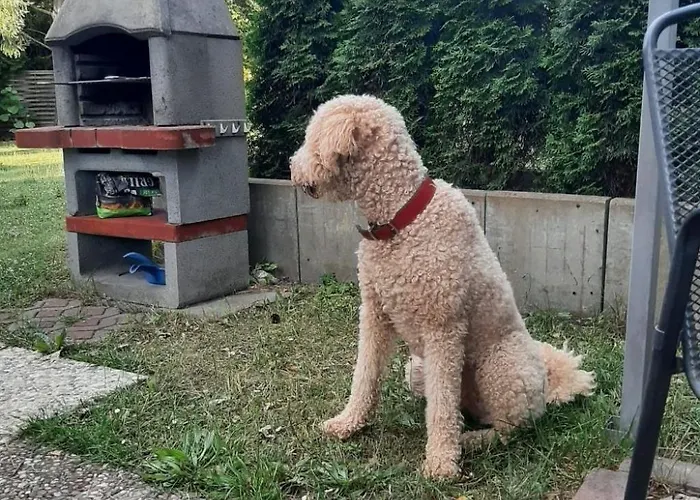 Finnhaus By Interhome Holiday home *