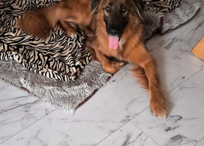 Finnhaus By Interhome Сasa de vacaciones